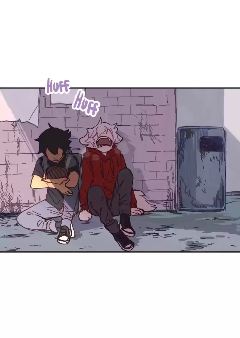 Read LUMINE Manga Online