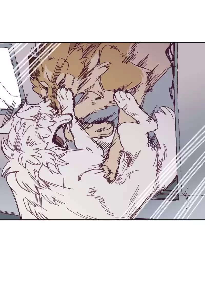 Read LUMINE Manga Online