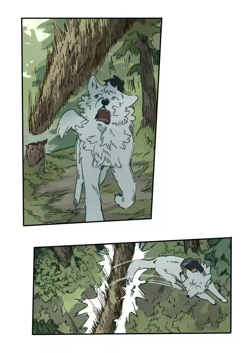 Read LUMINE Manga Online