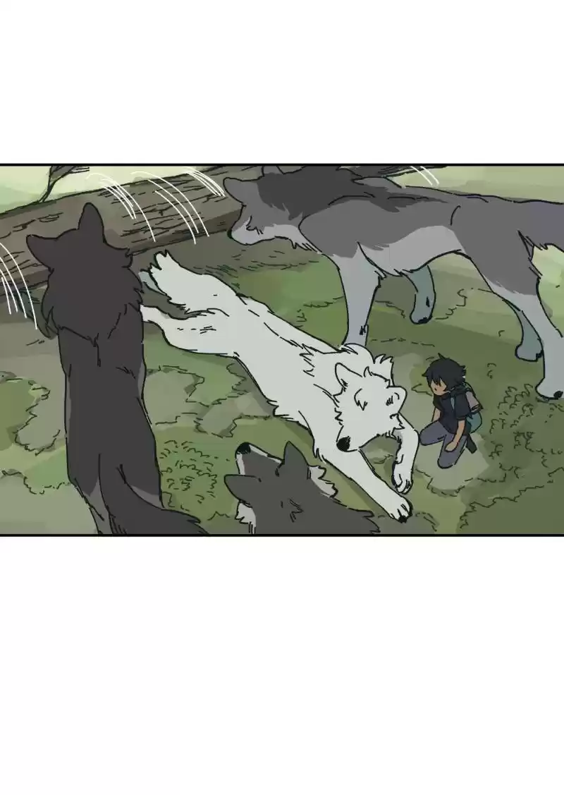 Read LUMINE Manga Online