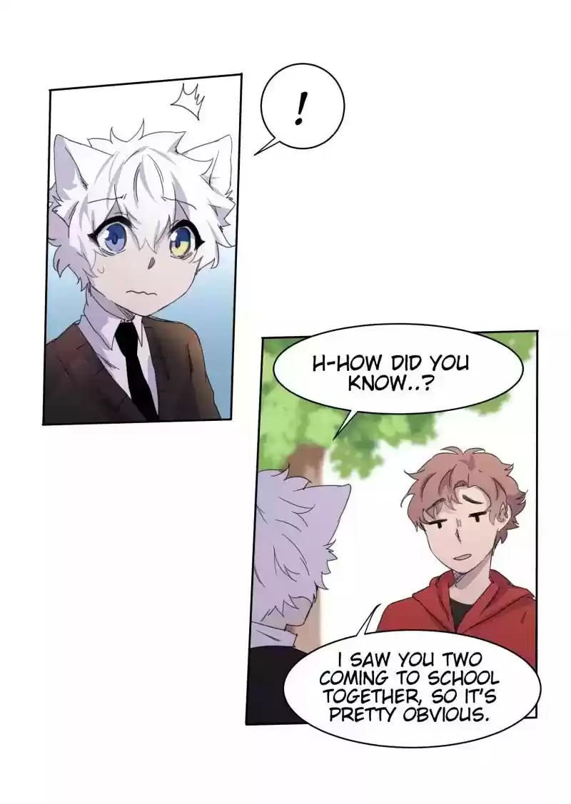 Read LUMINE Manga Online