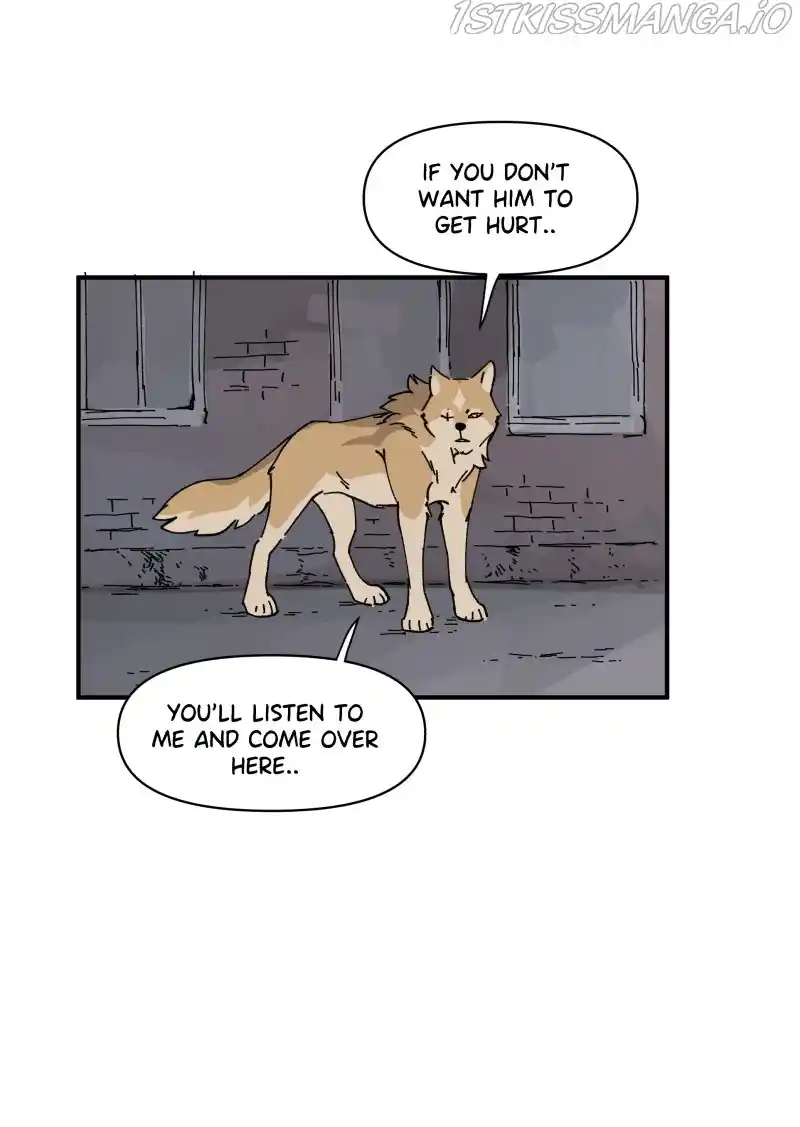 Read LUMINE Manga Online