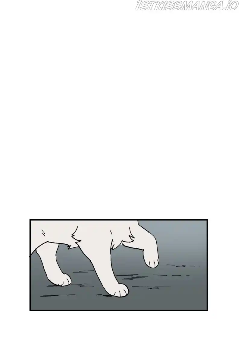 Read LUMINE Manga Online