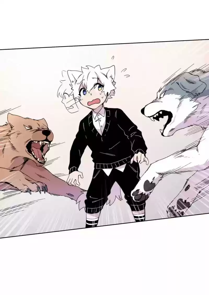 Read LUMINE Manga Online