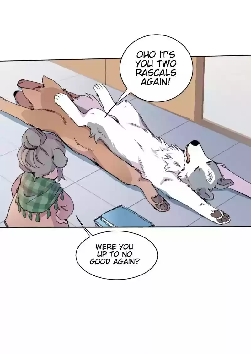 Read LUMINE Manga Online