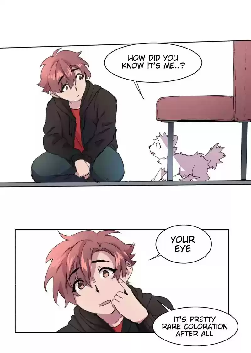 Read LUMINE Manga Online
