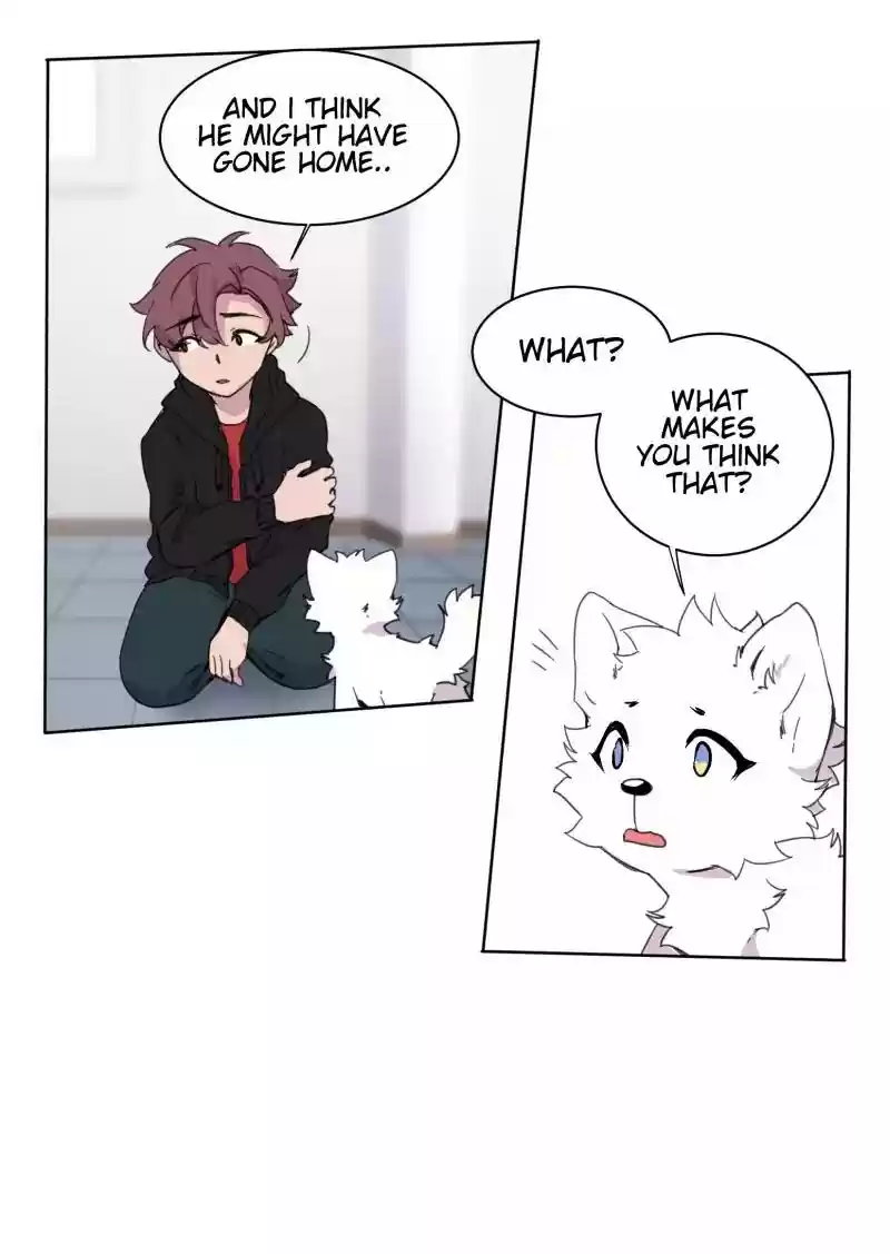 Read LUMINE Manga Online