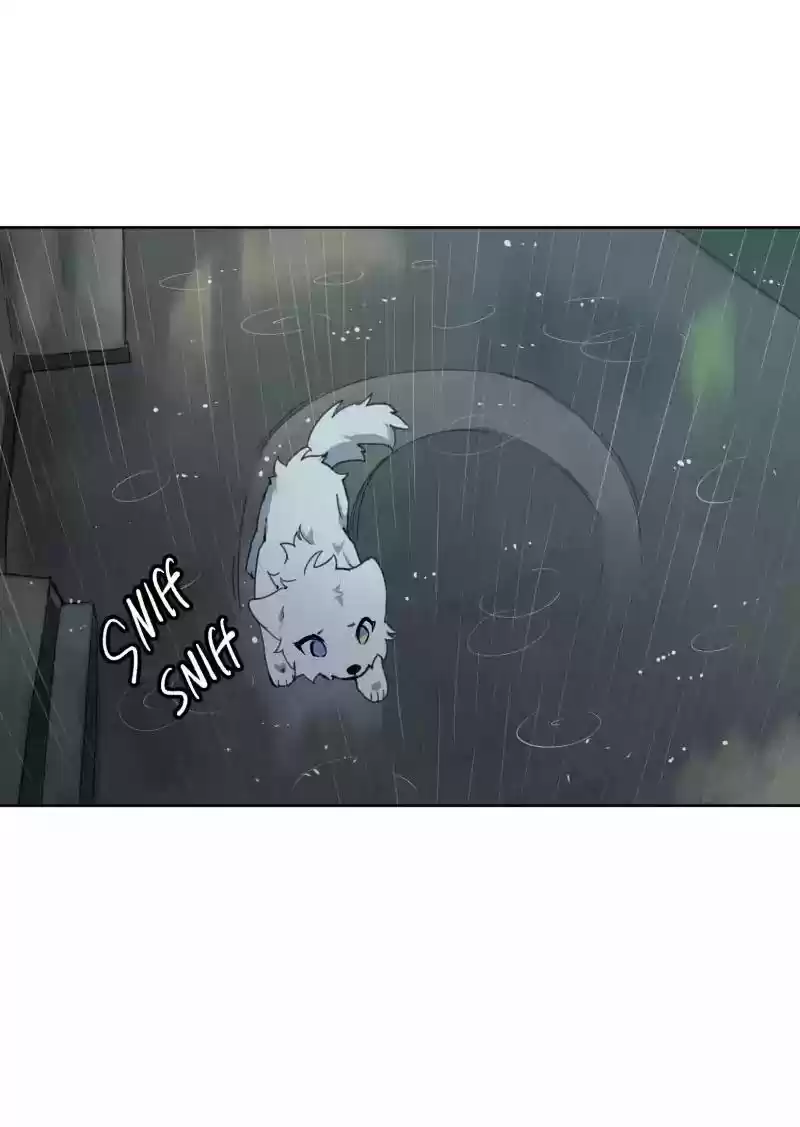 Read LUMINE Manga Online
