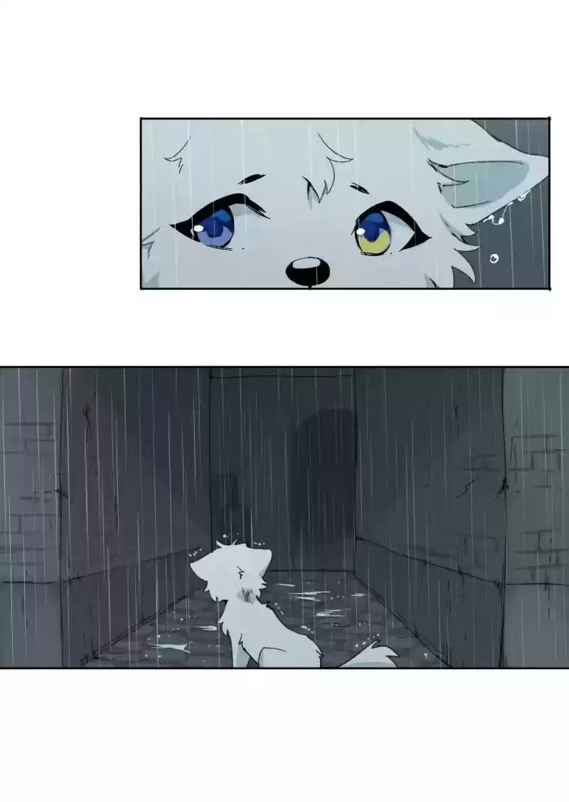 Read LUMINE Manga Online