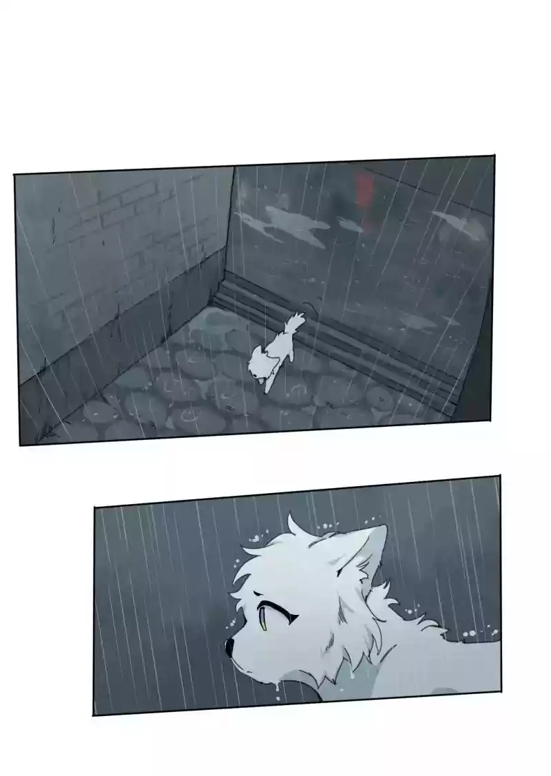 Read LUMINE Manga Online
