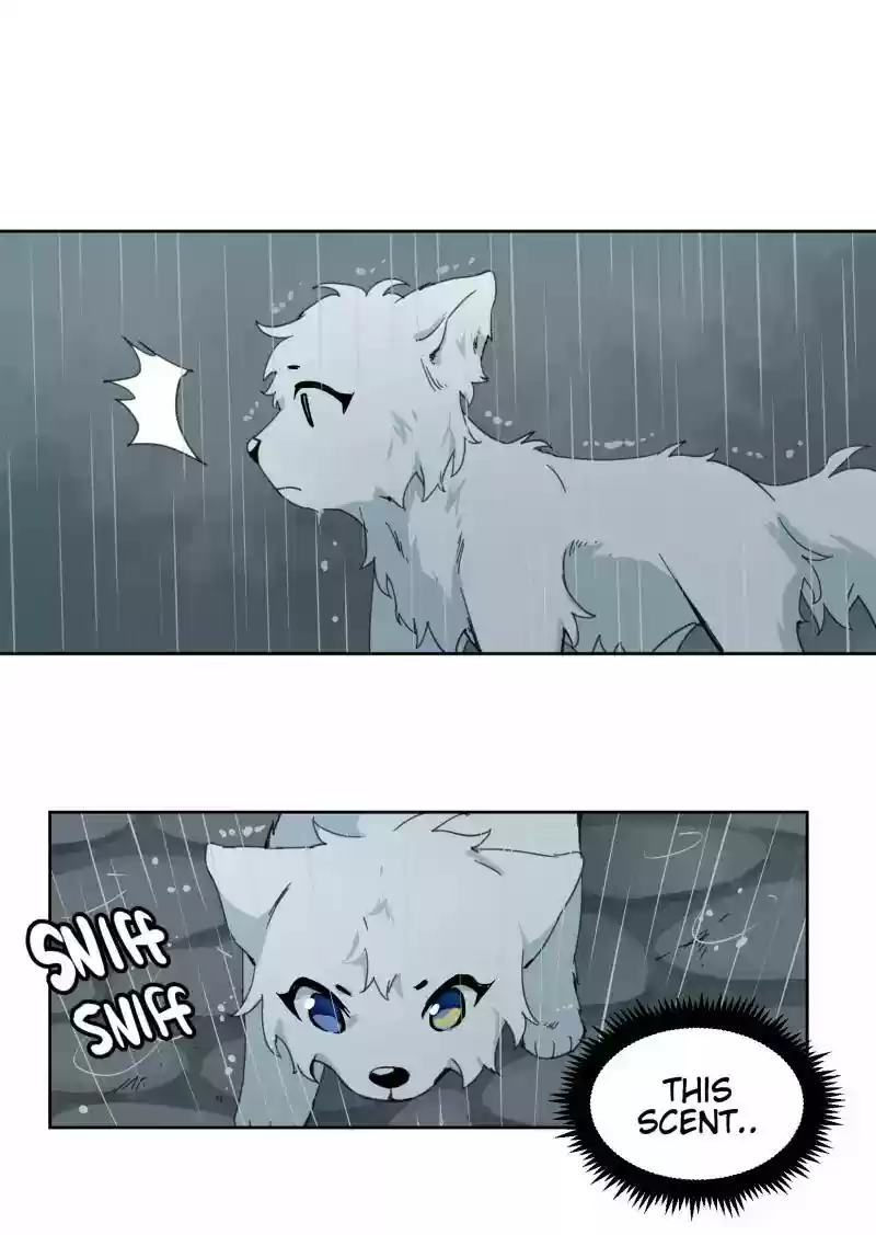 Read LUMINE Manga Online