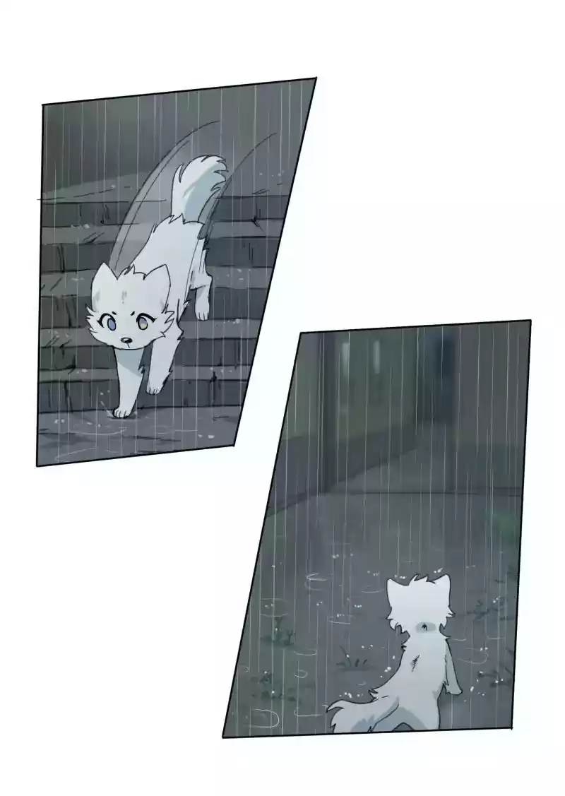 Read LUMINE Manga Online