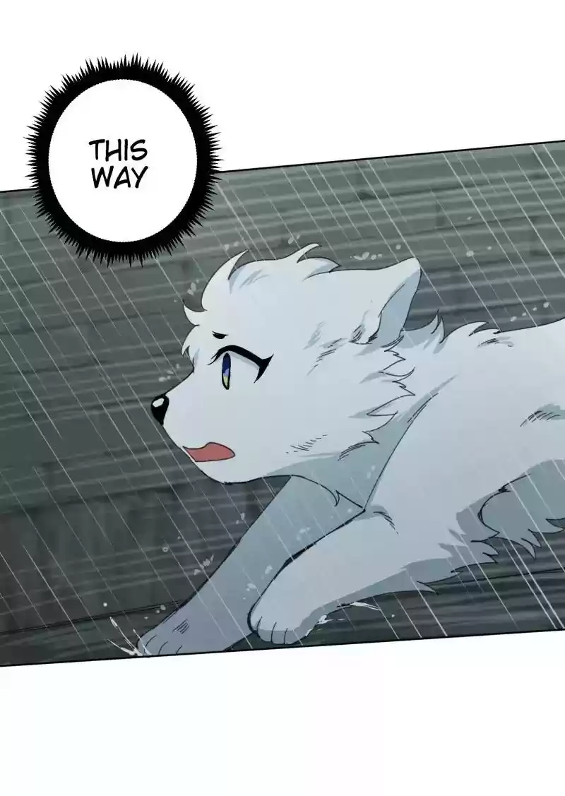 Read LUMINE Manga Online