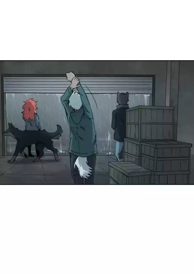 Read LUMINE Manga Online