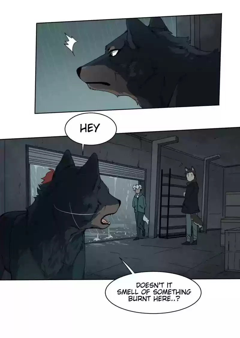 Read LUMINE Manga Online
