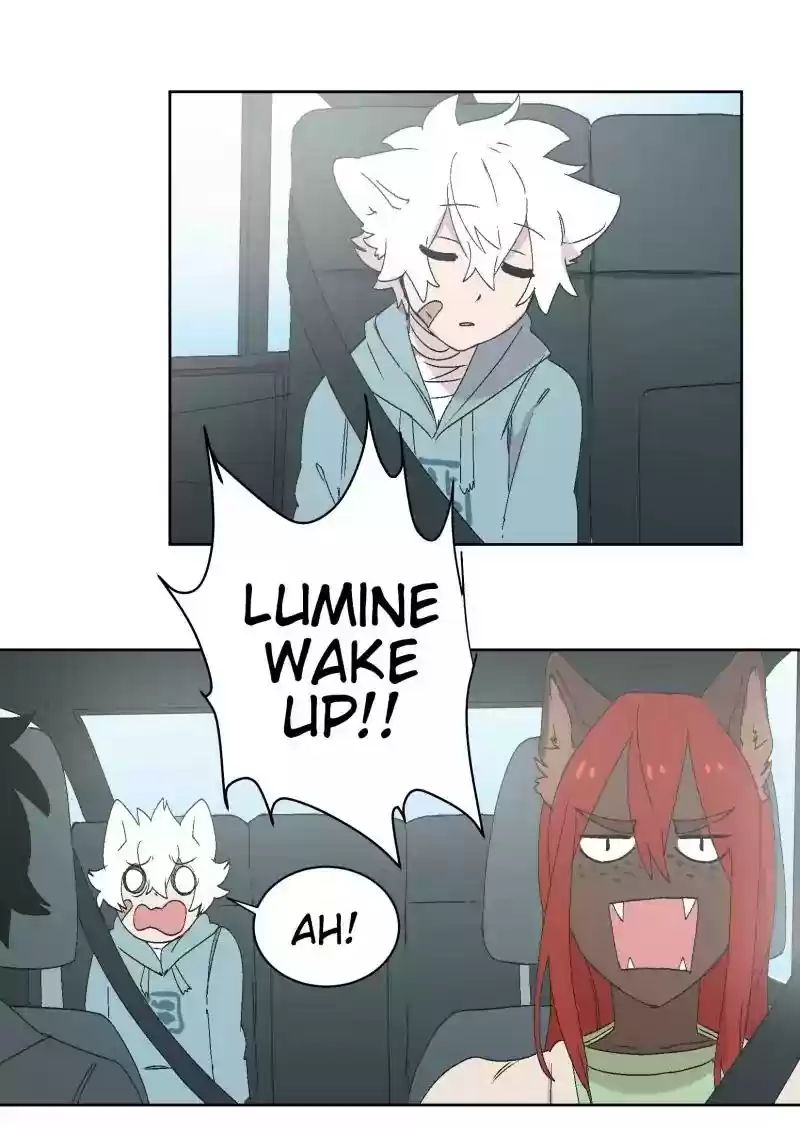 Read LUMINE Manga Online