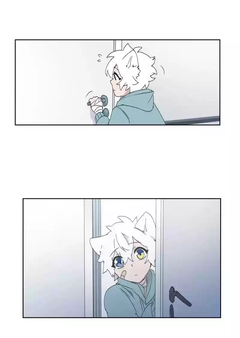 Read LUMINE Manga Online
