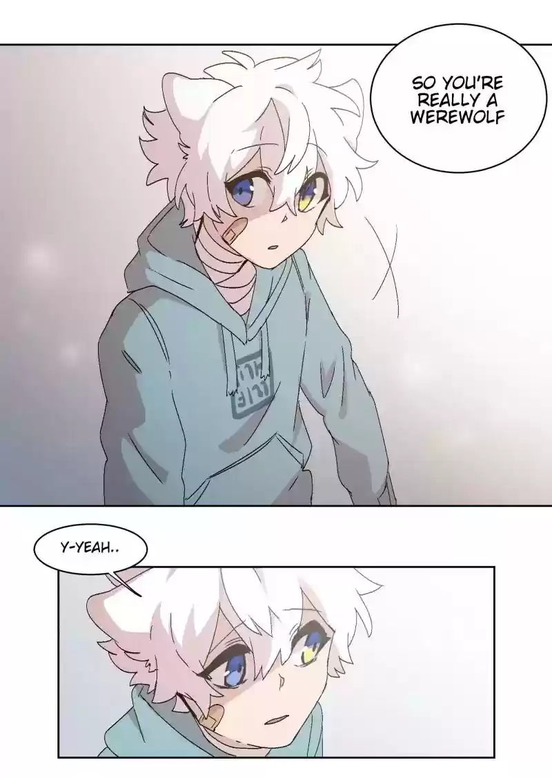 Read LUMINE Manga Online