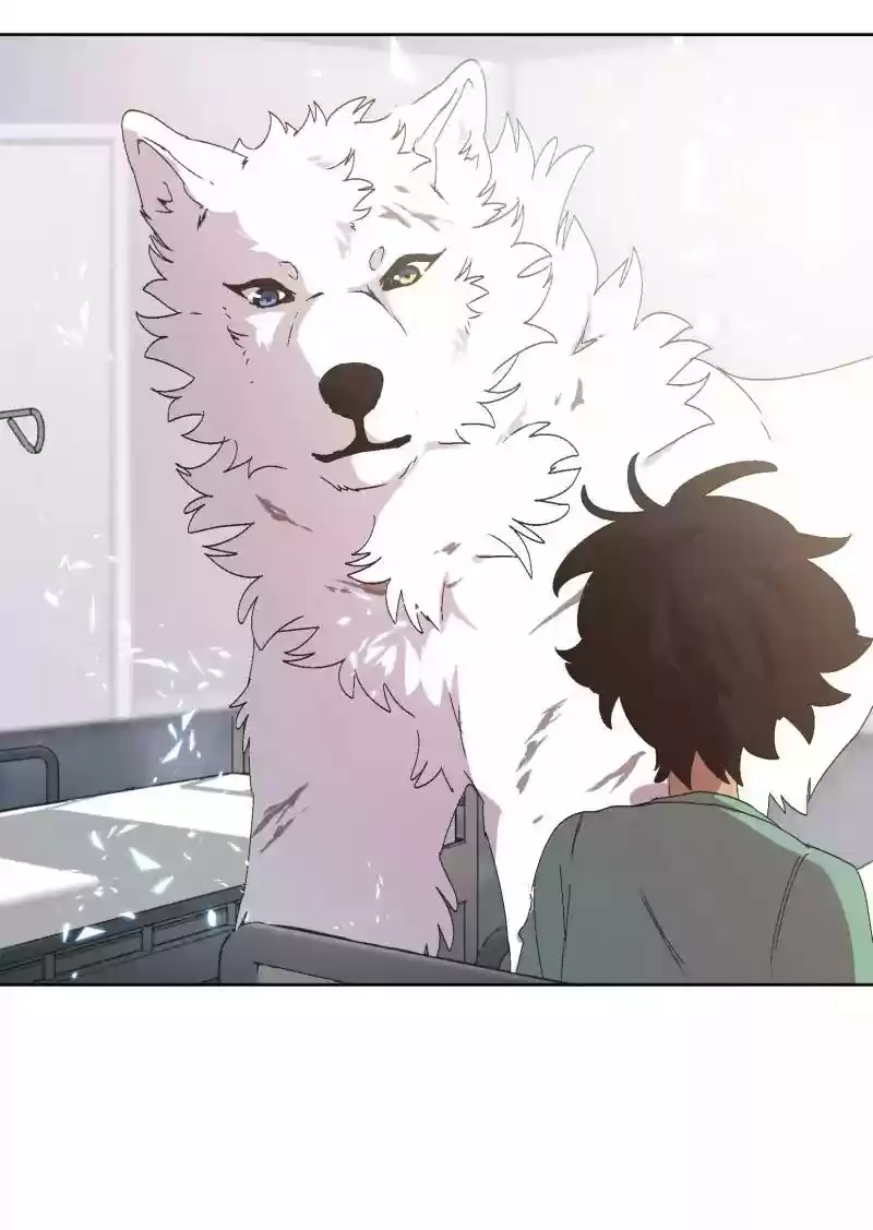 Read LUMINE Manga Online