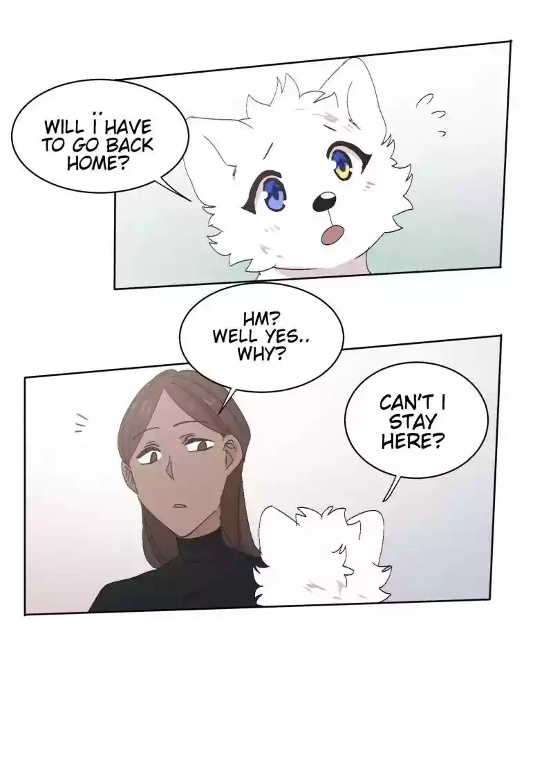 Read LUMINE Manga Online