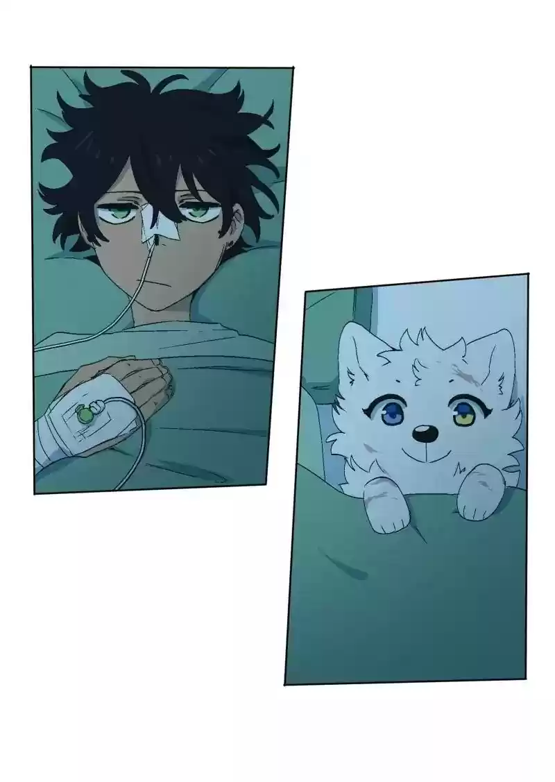 Read LUMINE Manga Online