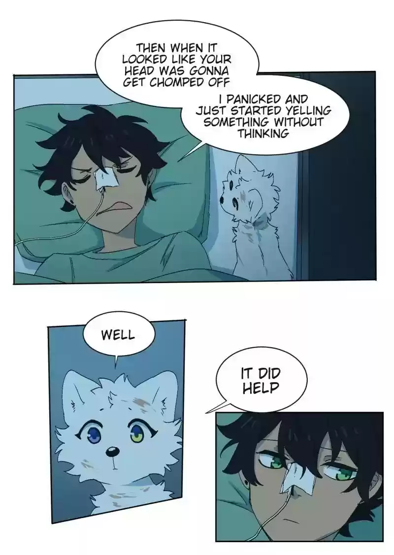 Read LUMINE Manga Online