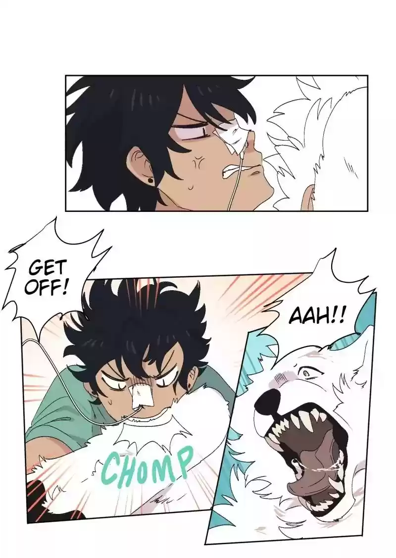 Read LUMINE Manga Online