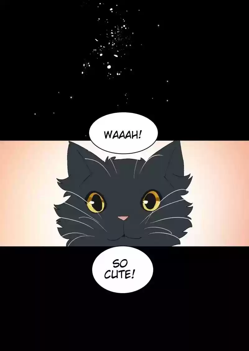 Read LUMINE Manga Online
