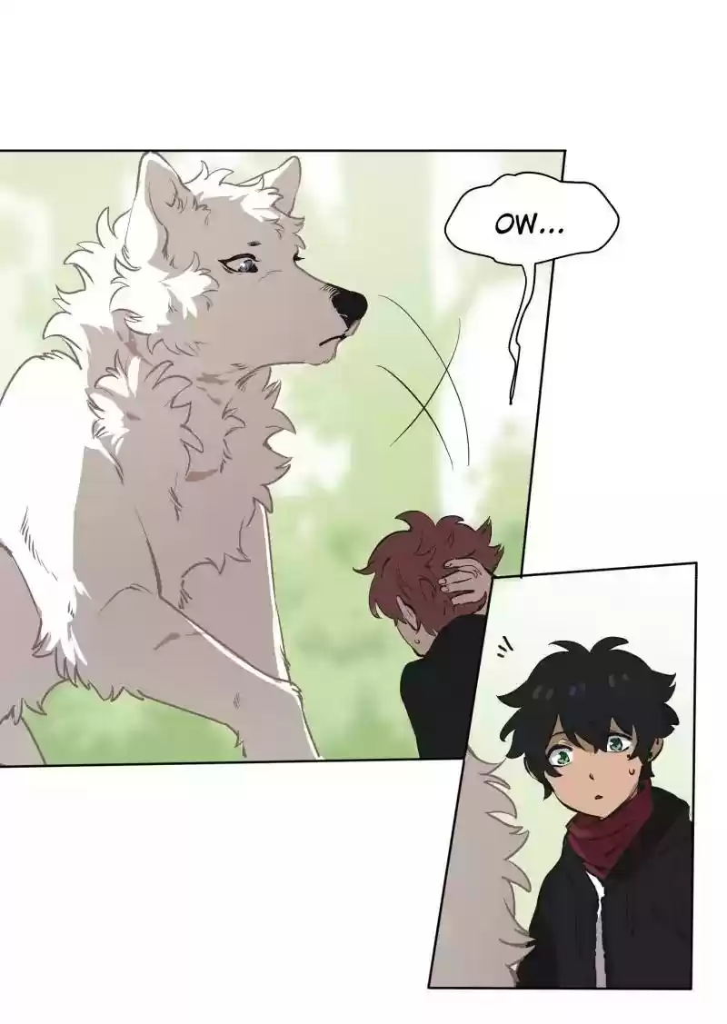 Read LUMINE Manga Online