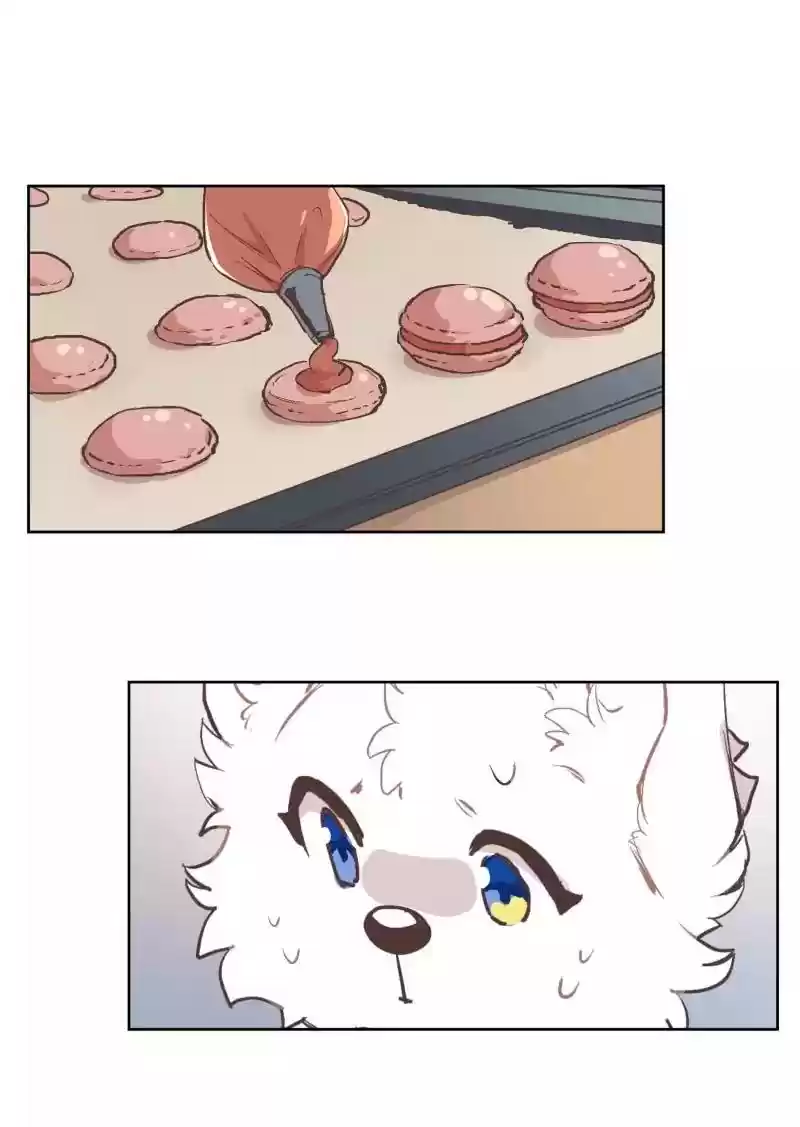 Read LUMINE Manga Online