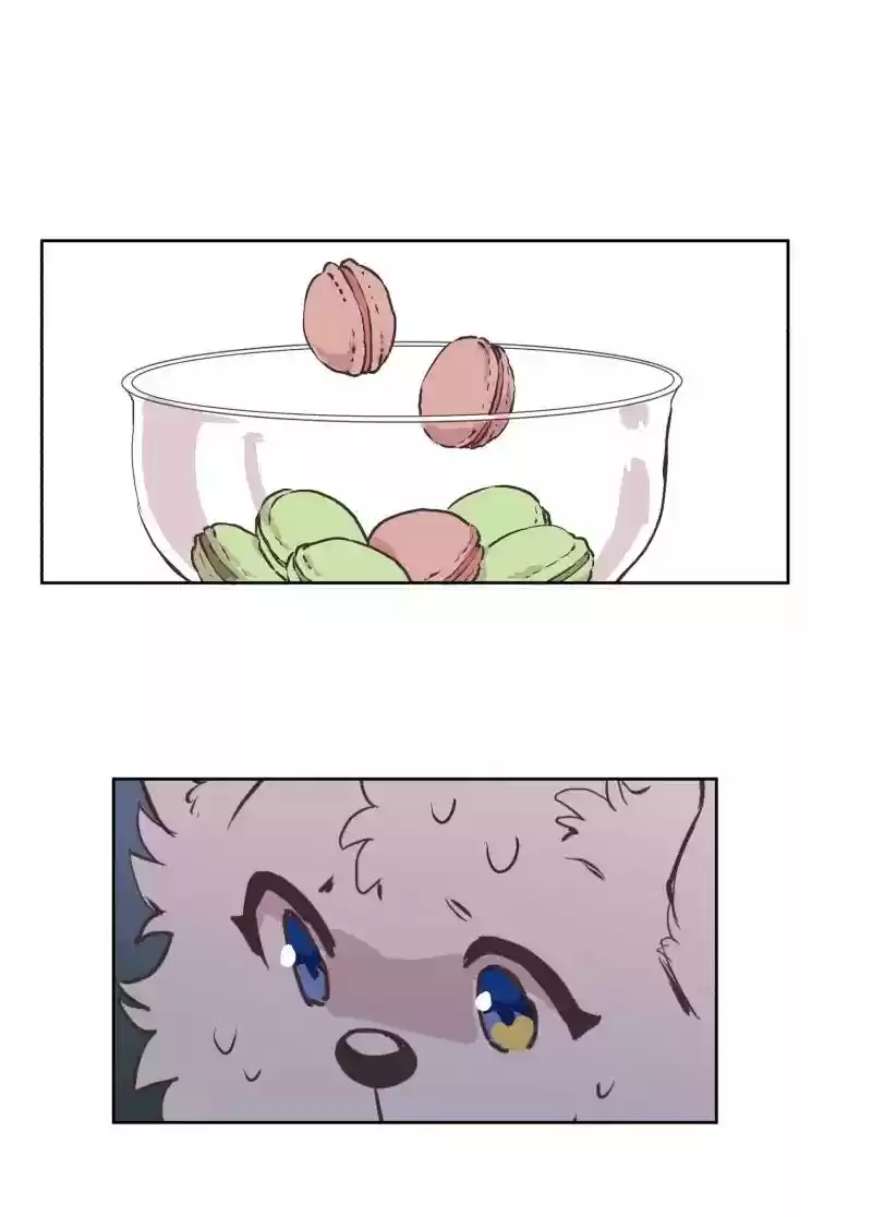 Read LUMINE Manga Online