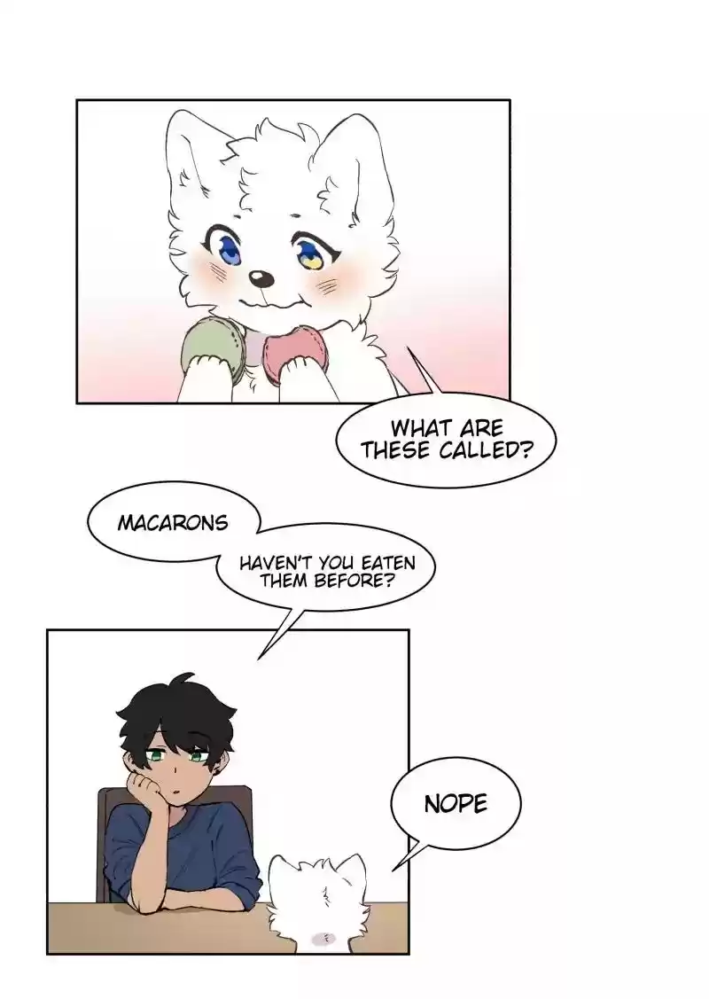 Read LUMINE Manga Online