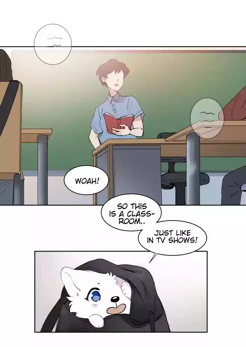 Read LUMINE Manga Online