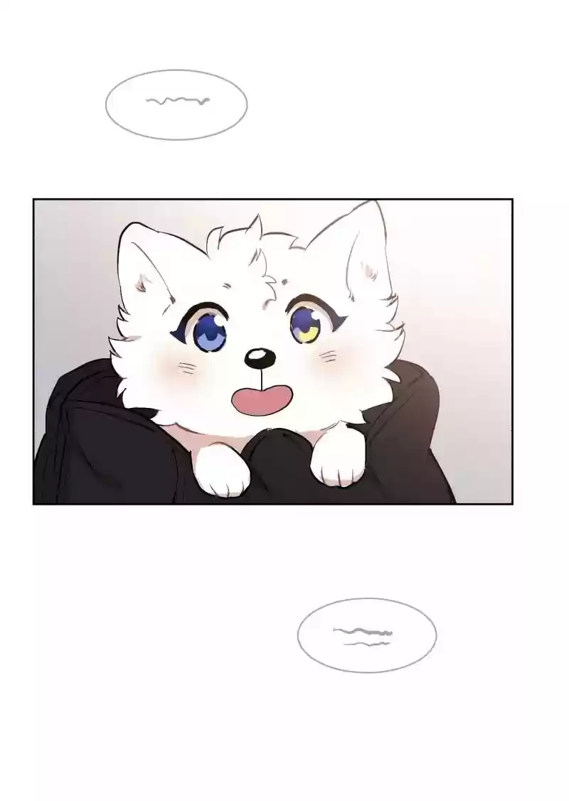 Read LUMINE Manga Online