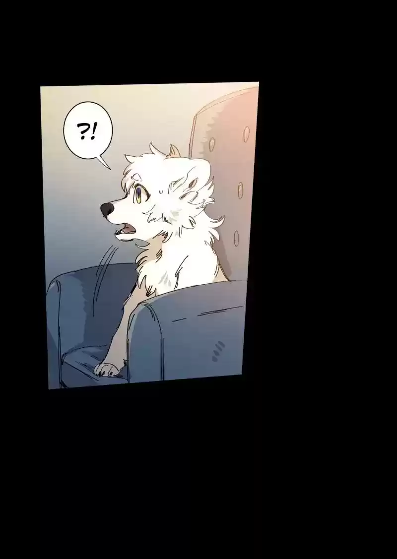 Read LUMINE Manga Online