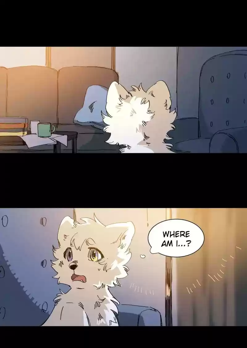 Read LUMINE Manga Online