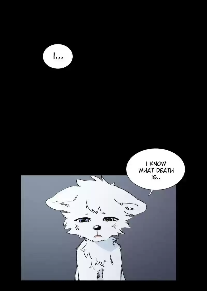 Read LUMINE Manga Online