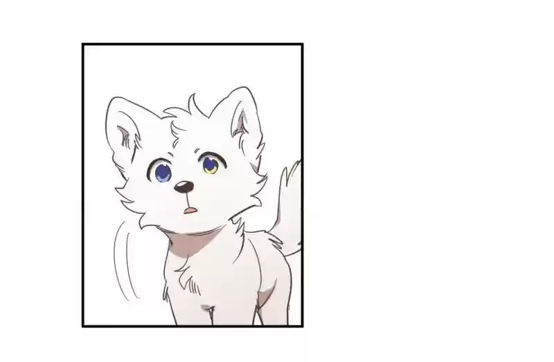 Read LUMINE Manga Online
