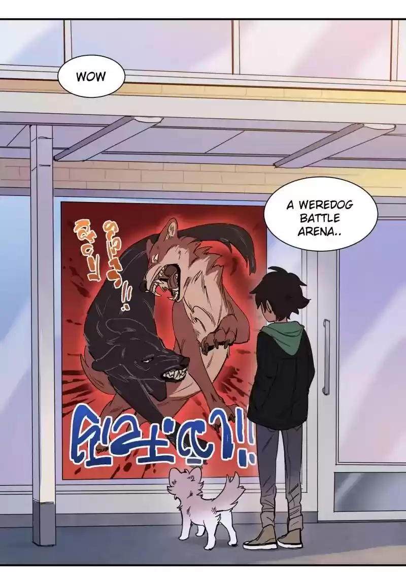 Read LUMINE Manga Online