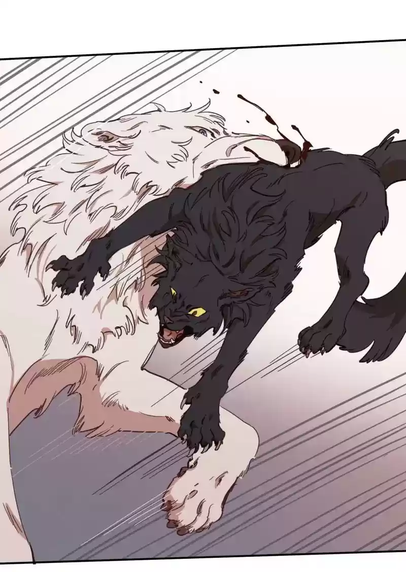 Read LUMINE Manga Online
