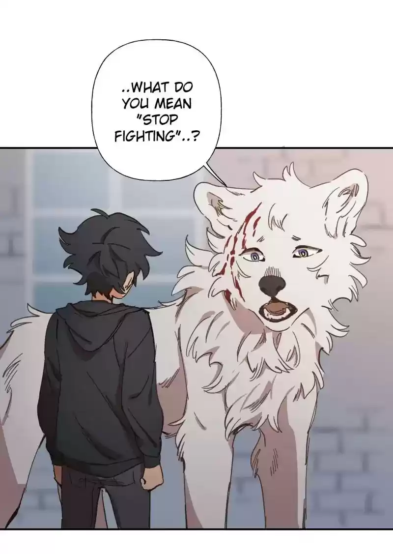 Read LUMINE Manga Online