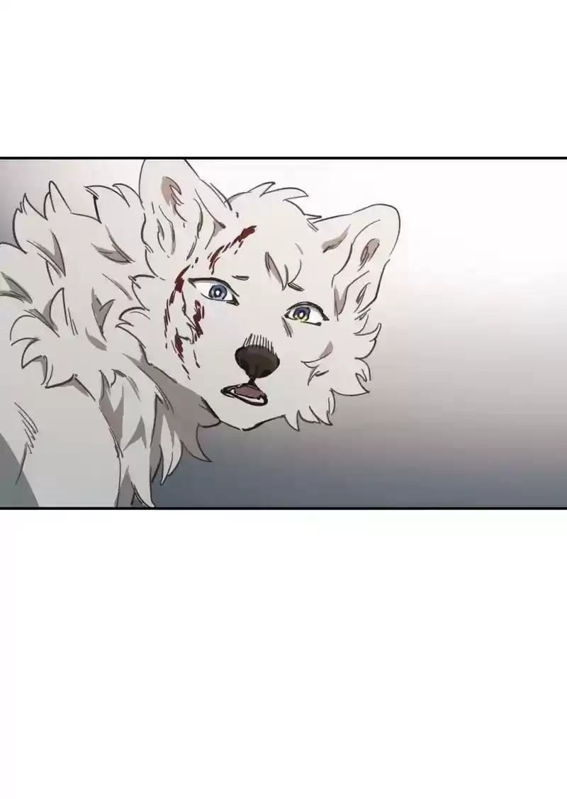 Read LUMINE Manga Online