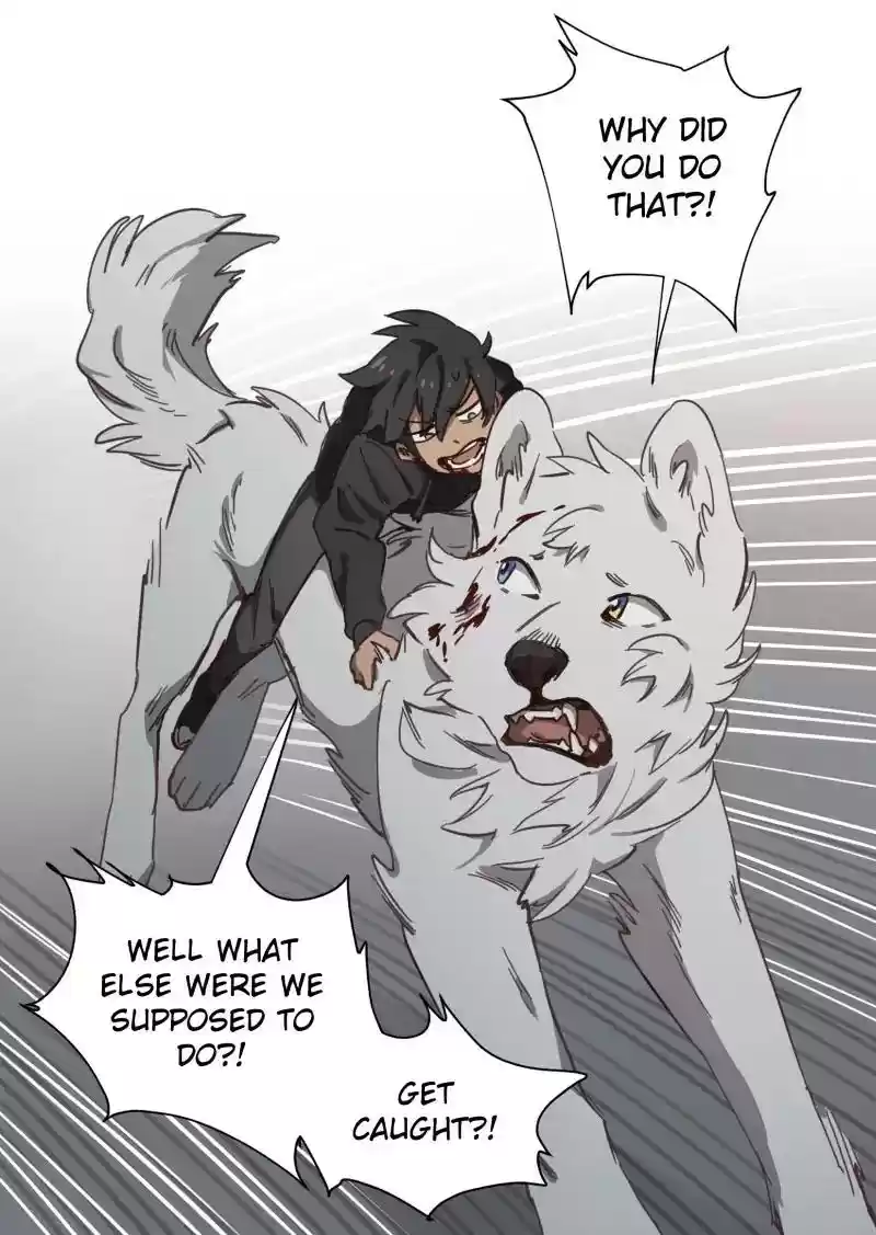 Read LUMINE Manga Online