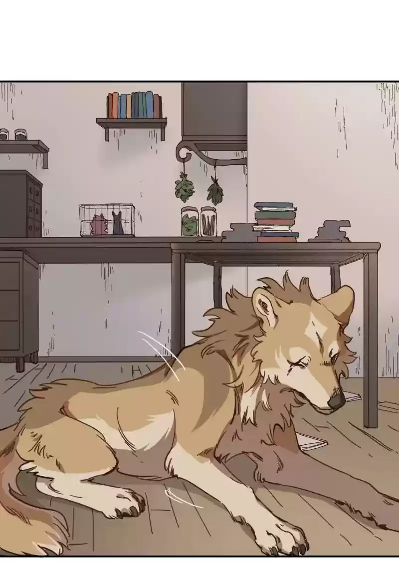 Read LUMINE Manga Online