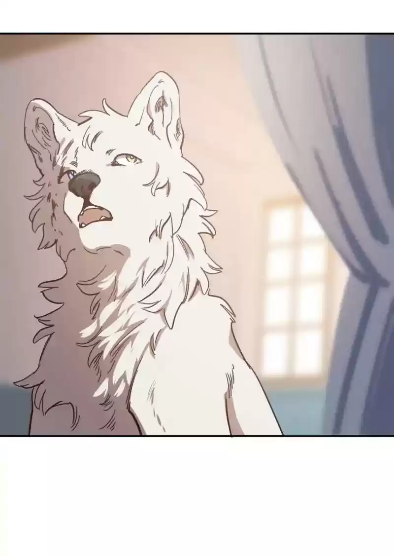 Read LUMINE Manga Online
