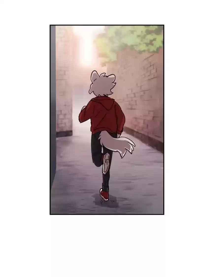 Read LUMINE Manga Online