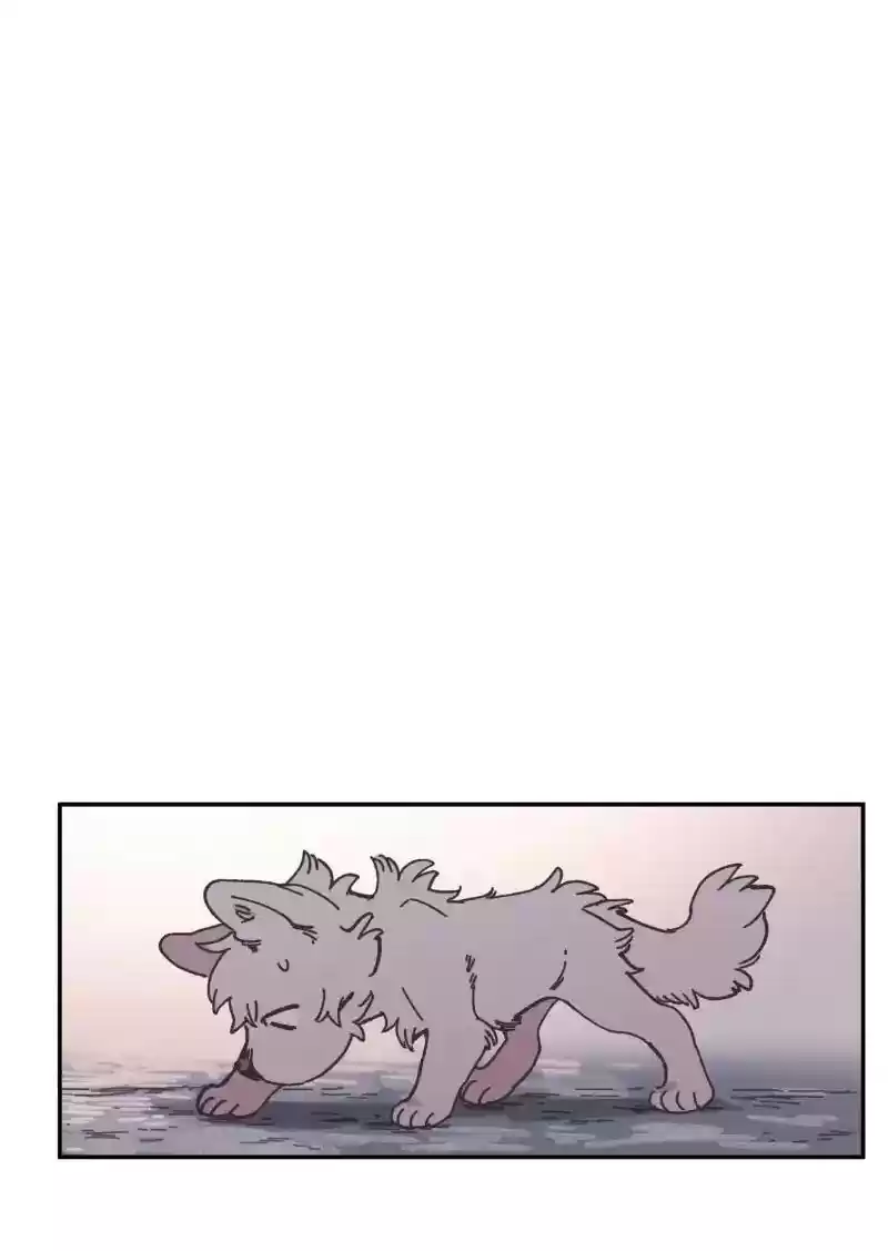 Read LUMINE Manga Online
