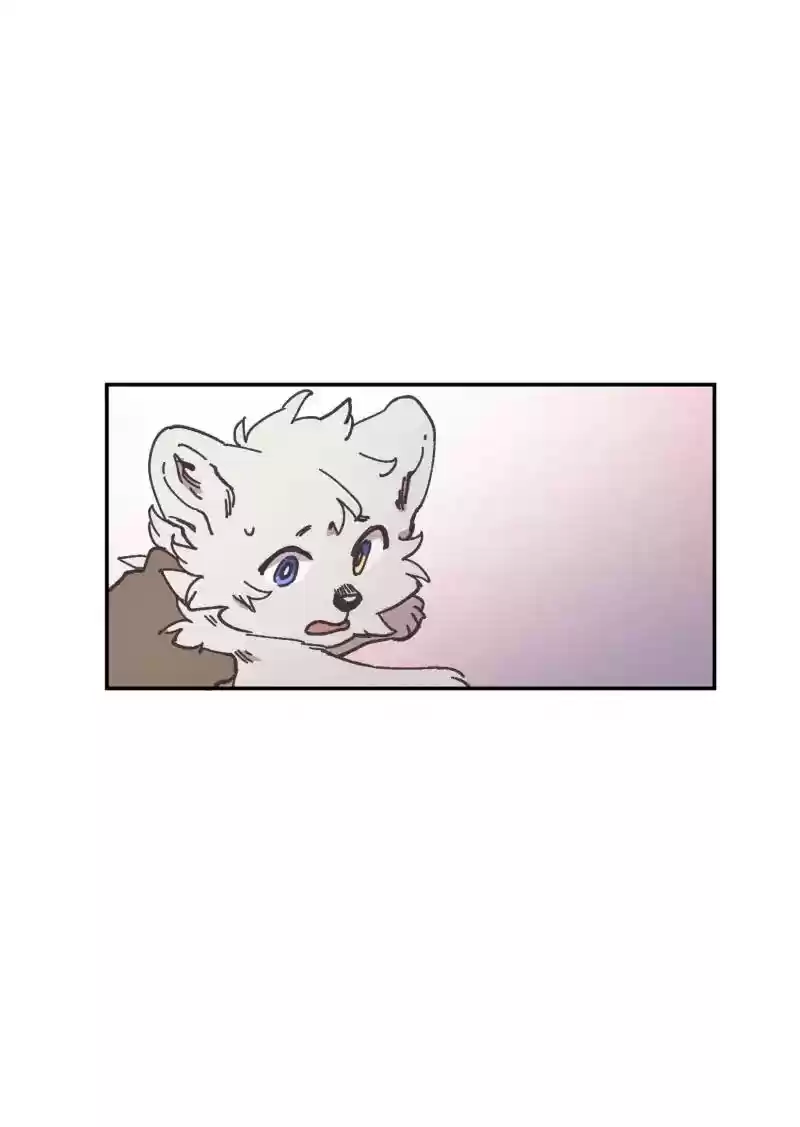 Read LUMINE Manga Online
