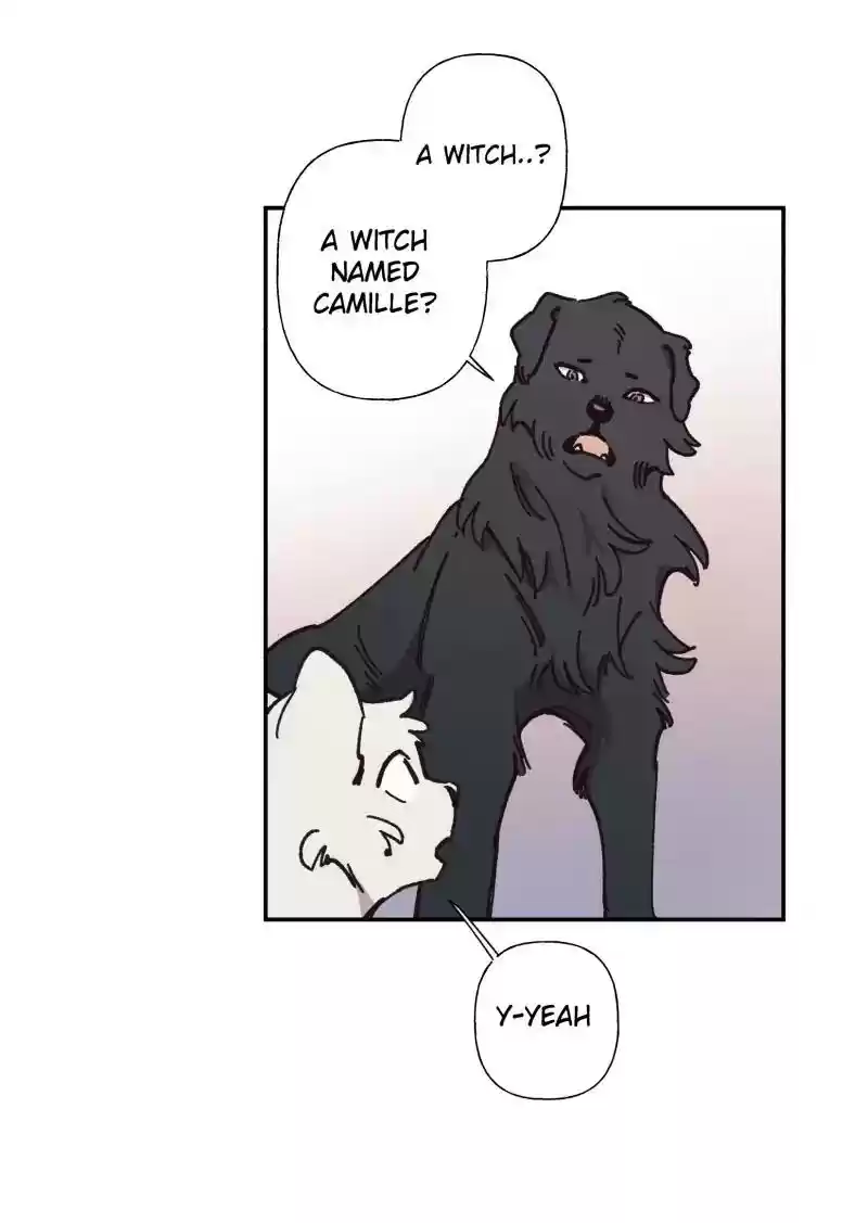 Read LUMINE Manga Online