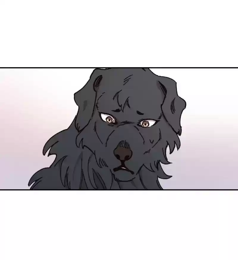 Read LUMINE Manga Online